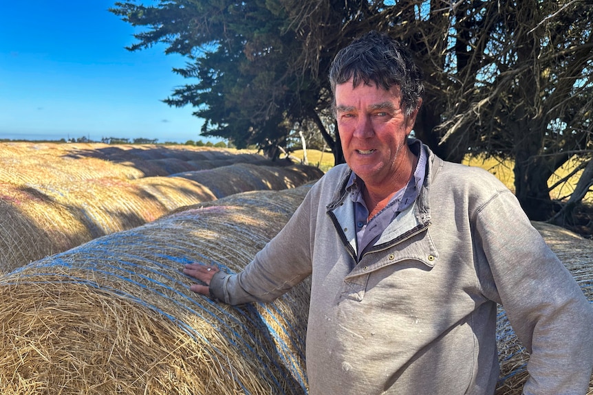 An older man with dark hair leans on a haybale.