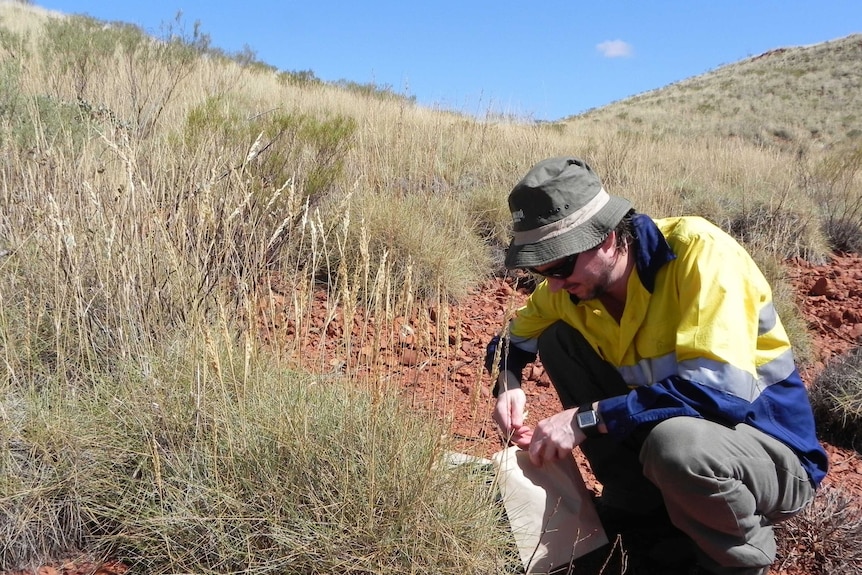 A man crouched on the ground in the outback holding a brown paper bag
