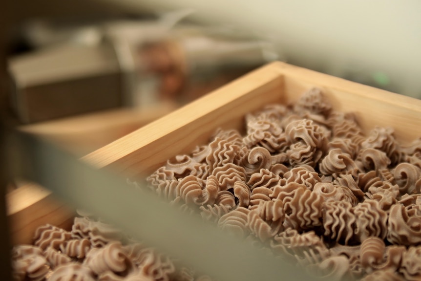 Light gray pasta dries in a wooden tray.