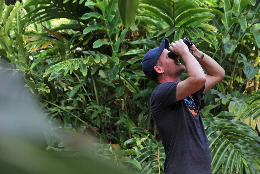 A man stands in a botanic garden, looking into a pair of binoculars.