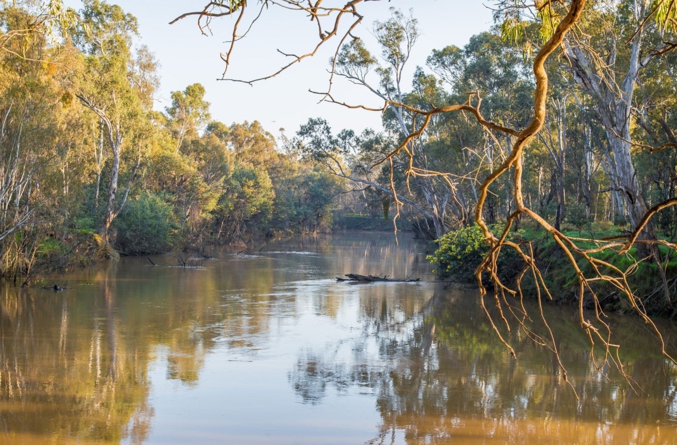 Rescue crews searching for canoeist, missing in Goulburn River