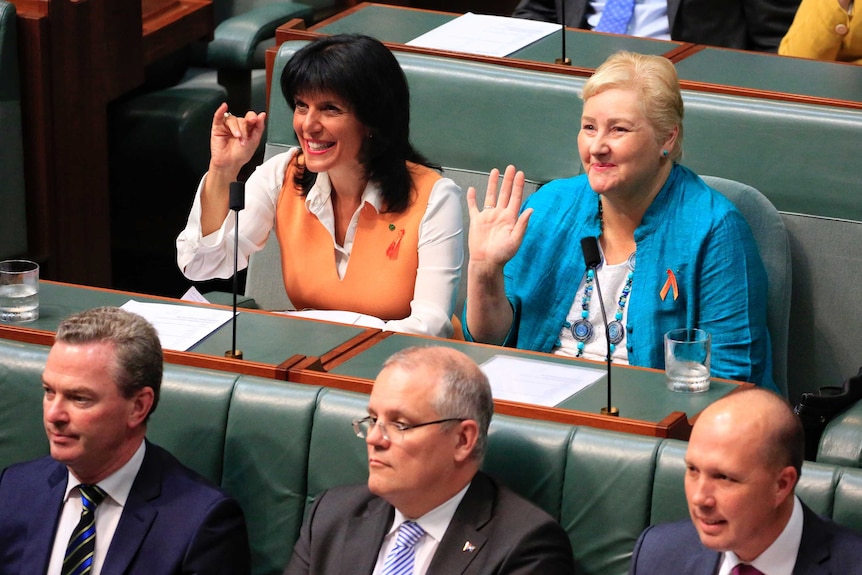 Liberal MPs Julia Banks and Ann Sudmalis smile and wave during Question Time