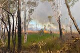 A fire burns through Australian bushland.