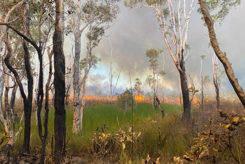 A fire burns through Australian bushland.