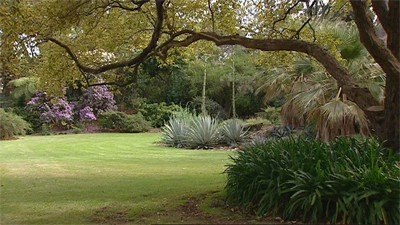 In Conversation: The Role of Botanic Gardens - Gardening Australia