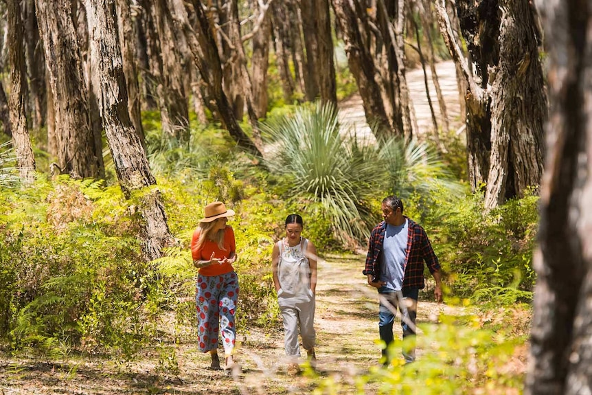 Two women and a man talk as they walk through a forest.