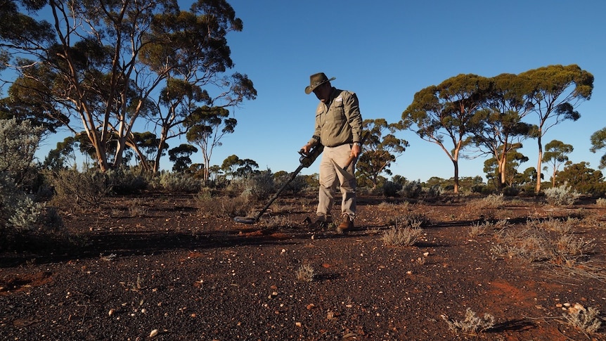 A prospector uses a metal detector to look for gold in the WA Goldfields.