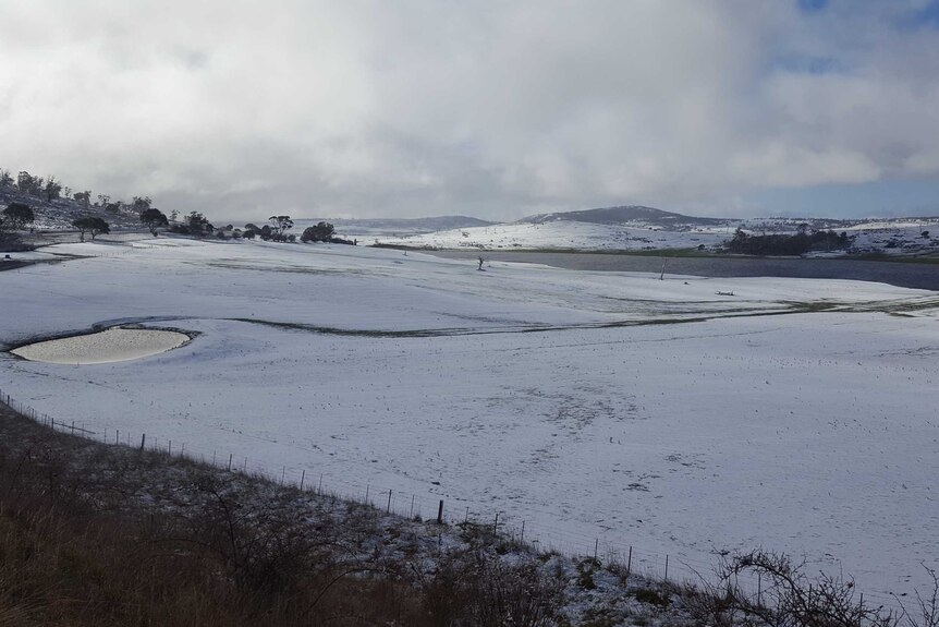 Snow covers the ground at Spring Hill in Tasmania's southern midlands