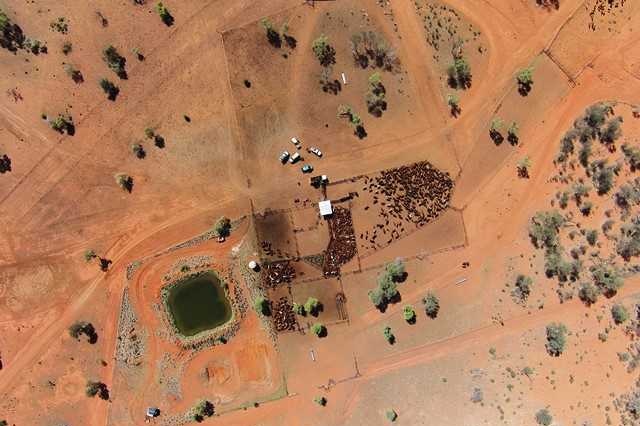 a cattle station homestead next to a river.