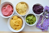 Four types of colourful gelati sit on a plate