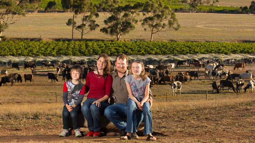 A mother, father and two children sit on a log with grape vines and dairy cows in the background.