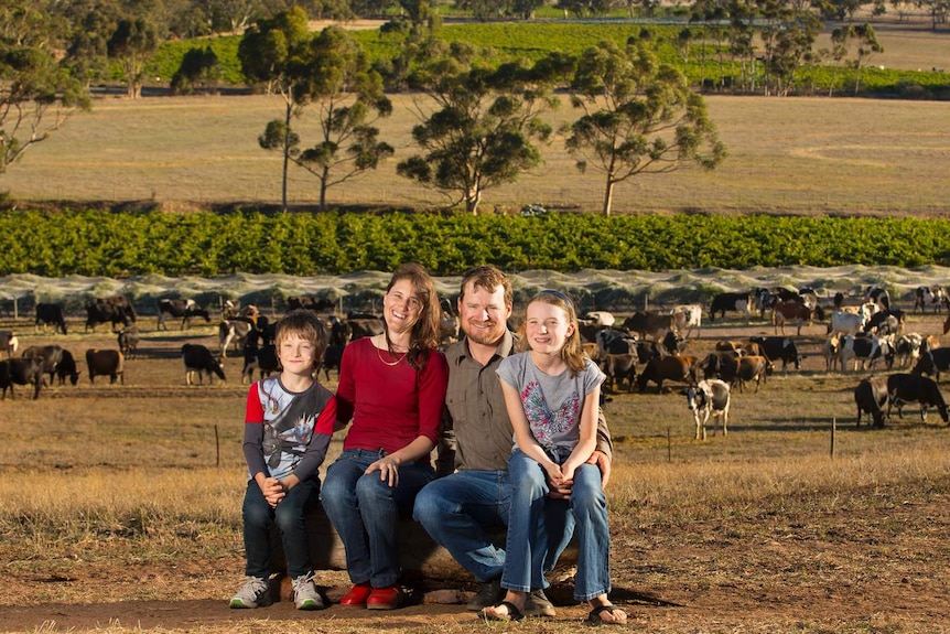 A mother, father and two children sit on a log with grape vines and dairy cows in the background.