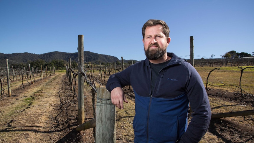 Usher Tinkler leans on a post in a vineyard.
