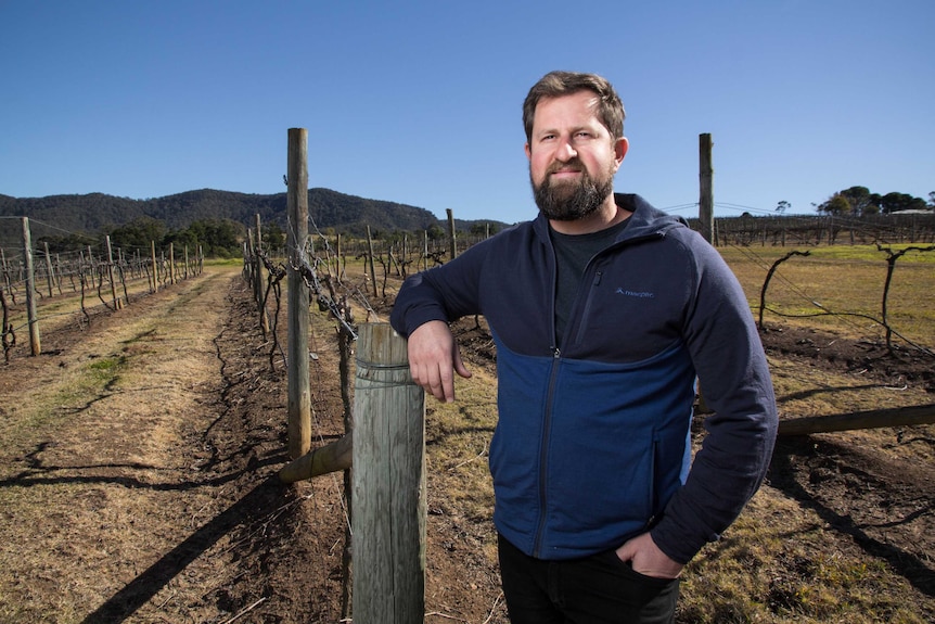 Usher Tinkler leans on a post in a vineyard.