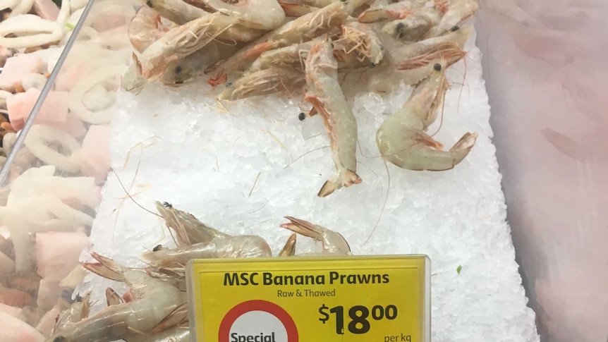 Prawn prices are still stable