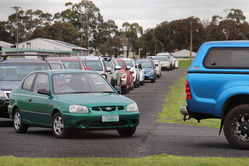 A line of cars with greenery around