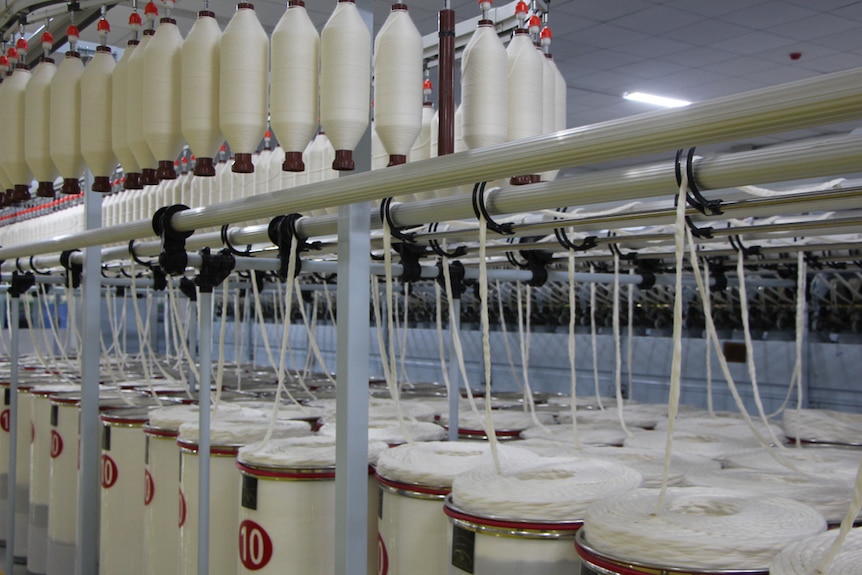 A machine spinning cotton