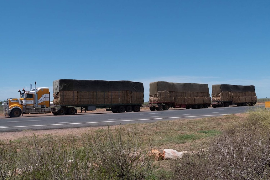 A yellow and white road train with three loads of hay is parked under a blue sky