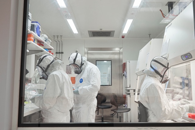 A view through a glass window of three scientists working in PPE in a lab. 