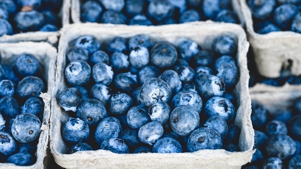 A carton of organic blueberries.