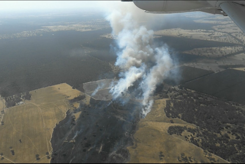 An aerial view of forest and pasture with a large area of black grass and white smoke. The aircraft wing can be seen