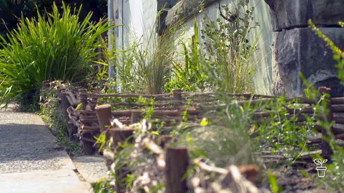 Garden bed enclosed with handwoven fence made from branches