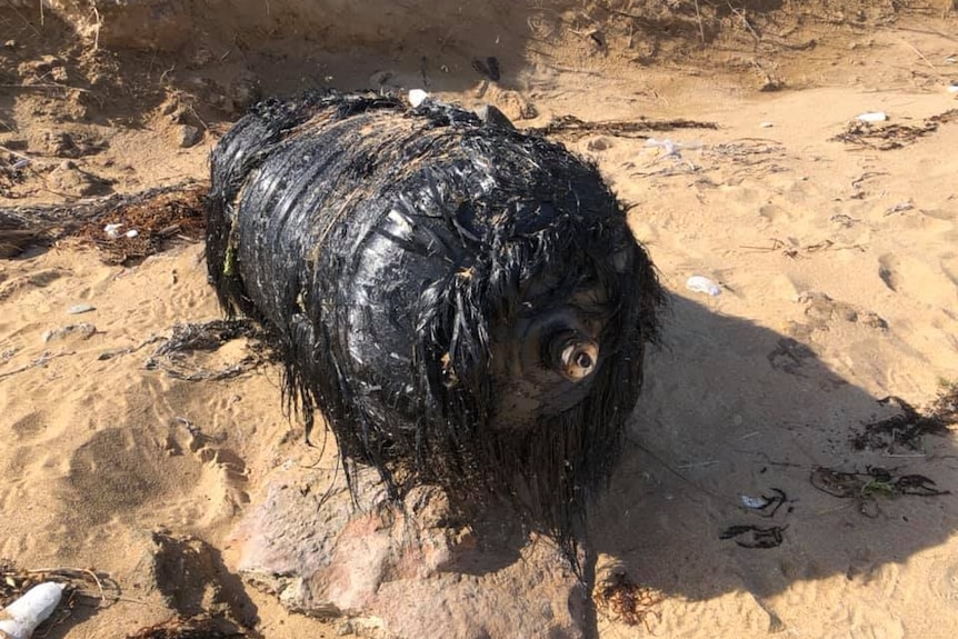 A large black cylinder wrapped in shredded material on sand