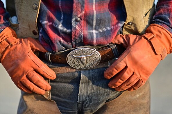 Gloved hands hold a buckled belt on a farm setting