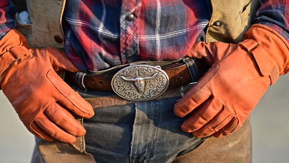 Gloved hands hold a buckled belt on a farm setting