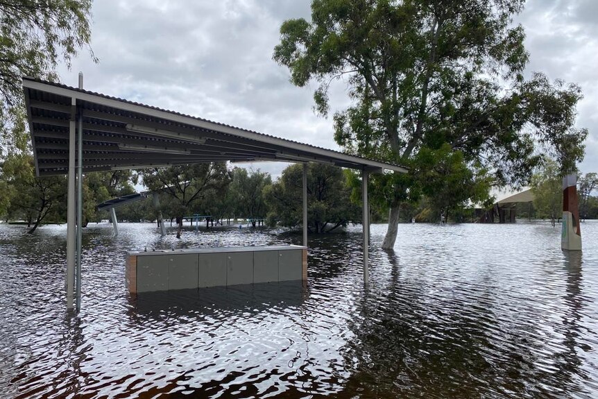 A park covered in floodwater in Mildura.