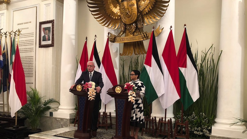 Indonesian Foreign Minister Riyad al-Maliki stands on podium making announcement