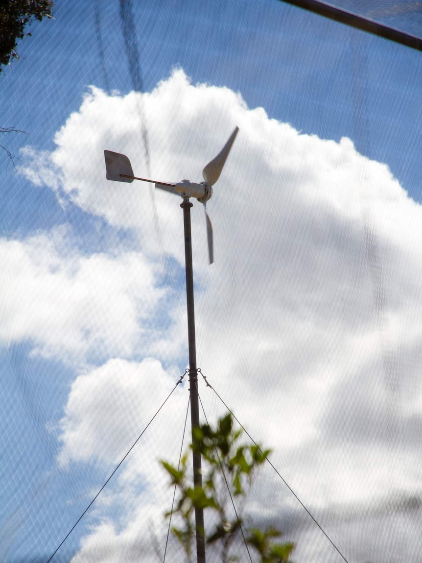 The top of a small wind turbine through some black netting.