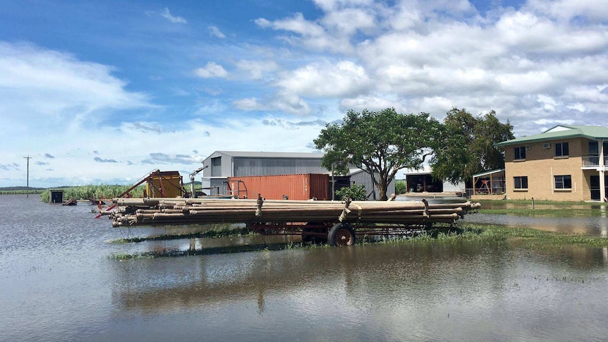 Flooded farm infrastructure in Marian, north-west of Mackay.