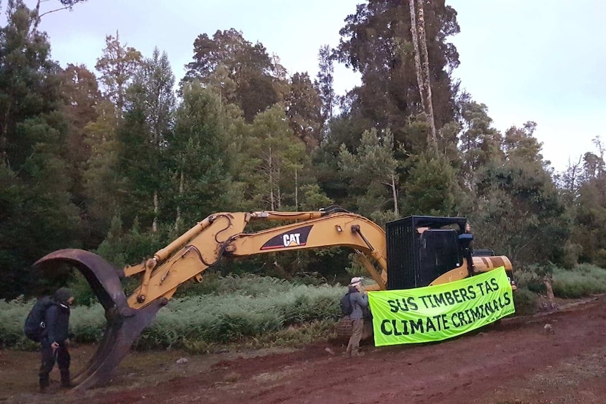 Conservationists stand near logging machinery in a forest.