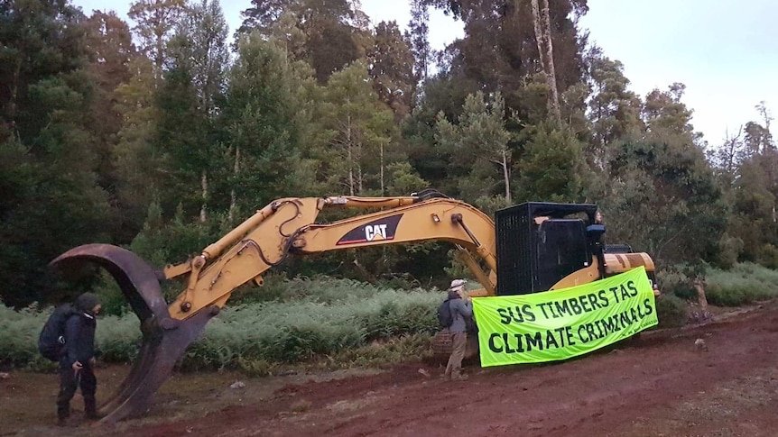 Conservationists stand near logging machinery in a forest.