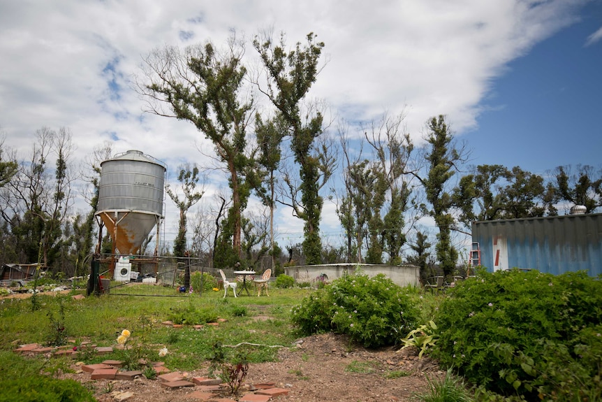 A water tank and a shed, with trees standing in the background sprouting new green leaves.