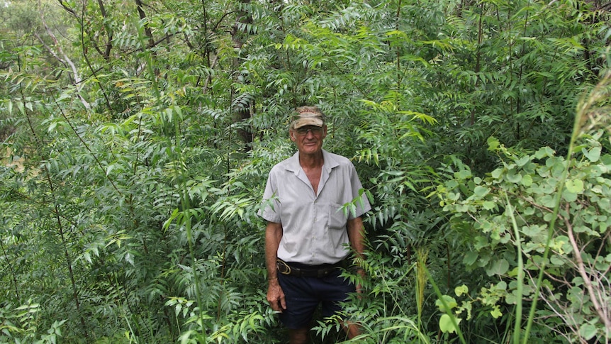 Weed consultant Darryl Hill standing in front of green trees and bushes