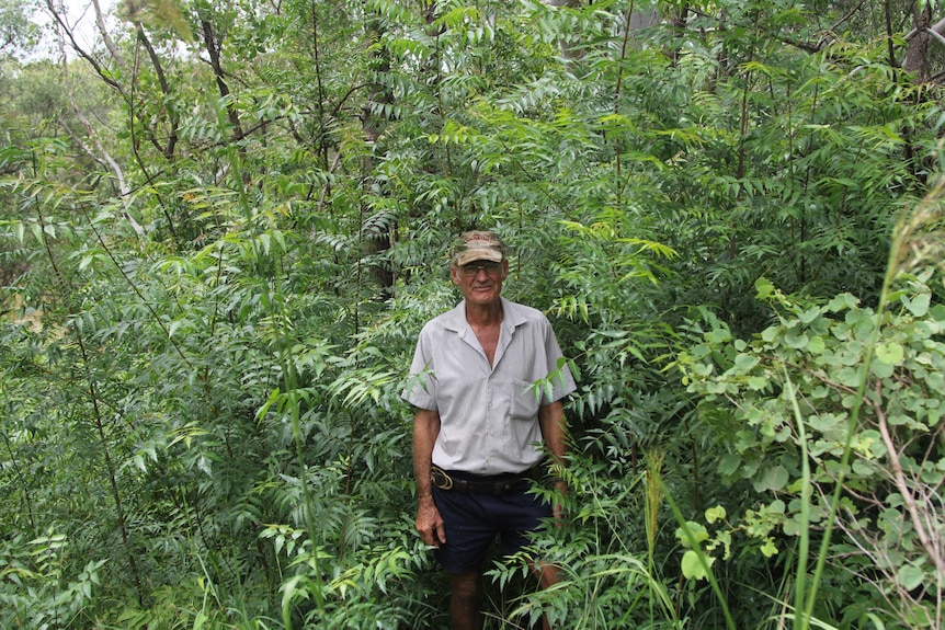 Weed consultant Darryl Hill standing in front of green trees and bushes