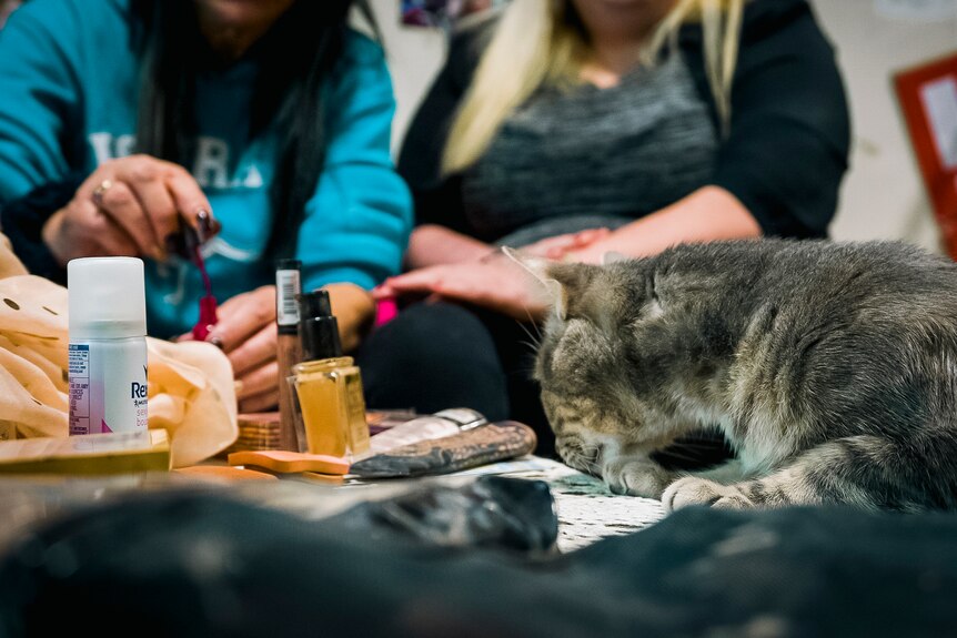 Two women doing nails, with a cat inspecting a table full of makeup.
