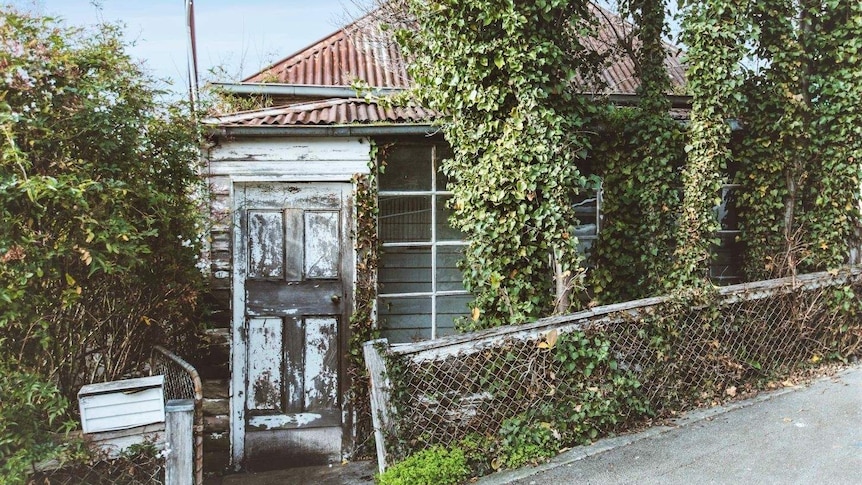 A run down property on William Street in West Hobart surrounded by an overgrown garden.