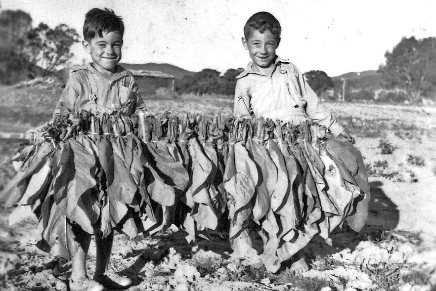 Due ragazzi tengono una fila di raccolto di tabacco appeso pronto ad asciugare. 