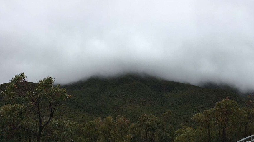 Bluff Knoll in WA's south covered in cloud.