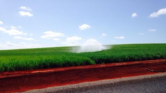 irrigation pic