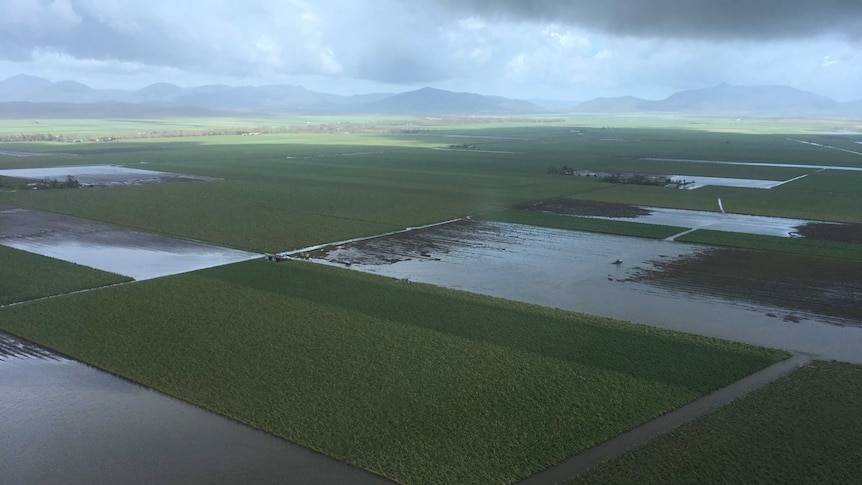 An aerial view of flooded cane fields near Proserpine.