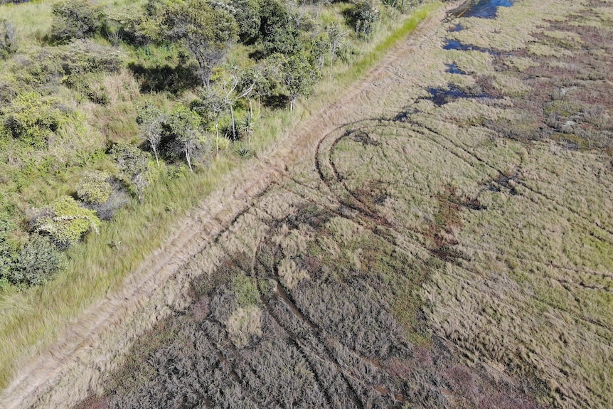 Drone shot of tyre marks across bushland. 