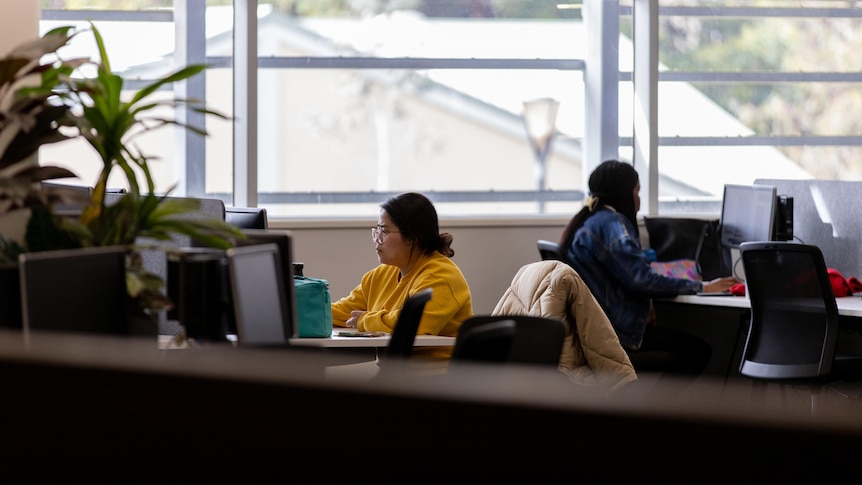 Students at desks lined with computers next to a large window.