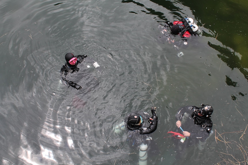 Four divers floating above water, preparing to dive into a cave. 