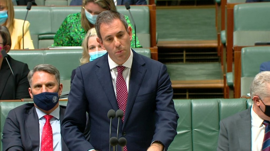 Treasurer Jim Chalmers speaking in parliament