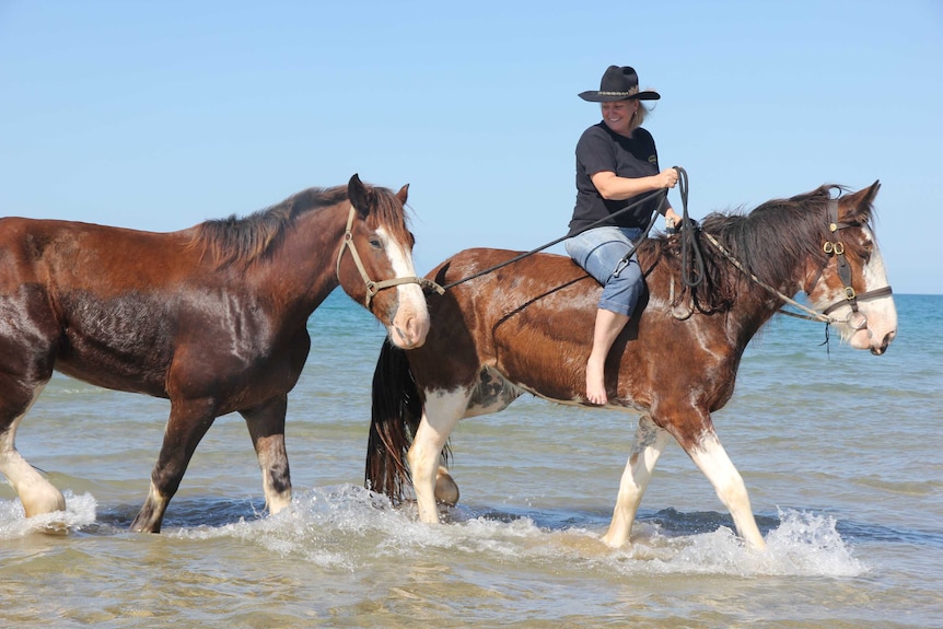 Lynda Erwin with the Clydesdales