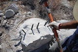 A photo of someone holding a sledgehammer, about to crack open a limestone rock.